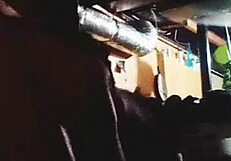 Big booty slut takes a load doggystyle