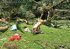 I Found Hyperversos Girl Filming in the Woods and She Let Me Record