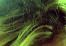 Jen intensely gets down on the cock with bold enthusiasm