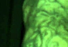 Amateur Blowjob Recording With Horny Whore.