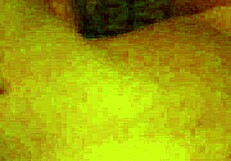 latina shemale dominates me in wild anal session