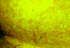 latina shemale dominates me in wild anal session