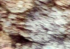 Horny Couple Fucking Outdoors? Big Cock In Pussy!