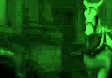 victorian gentleman's erotic sea voyage confessions