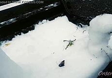 White Cat Myaako Crafts SNOW SCULPTURE Art In Nacchi Journey