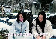 White Cat Myaako Crafts SNOW SCULPTURE Art In Nacchi Journey