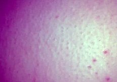 Vid 20171225 003117654