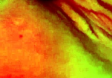 Did You See Me Playing With Myself Until I Came?