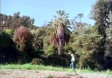 Dive into Raw Vintage Double Penetration Action!