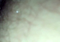 Gushing TOYS Squirting All Over the COCK!