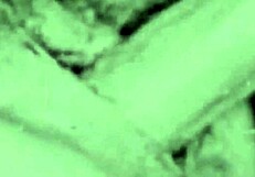 in this retro scene, a woman undresses and gives a blowjob