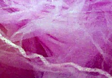 Teen Soaks Panties with Huge Squirt on Girls4Cock Com Video