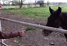 Homemade fun with chubby latina mara lopez