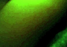 Wet pussy bitch cheats with intense fucking