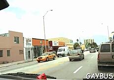 Two gay lads having sex