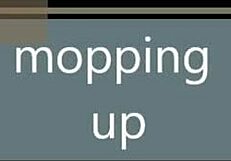Mopping up the intriguing mess
