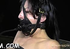 Rough couple engages in sadomasochism whipping and sucking