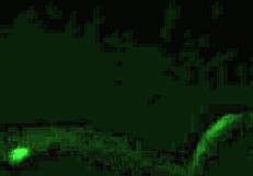 my wife gives amazing handjob session