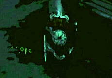 hey, let's dive into the amazing world of vintage pornography together, shall we?