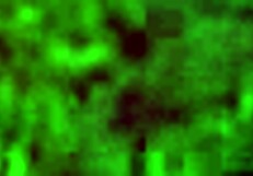 Shemale Punished In BDSM Heels Humiliation