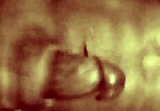 Imagine This Massive Black Cock Fucking You Senseless Into Oblivion.