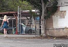 teen girls getting sharked in suggestive ways