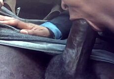 blonde gives blowjob to monster black cock in part two