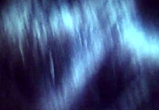 busty stripper gives blowjob while talking dirty and ripping clothes