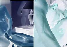 Can Freshh Handle Intense Lesbian Tribbing?