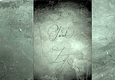 dark lantern entertainment showcases vintage mature films