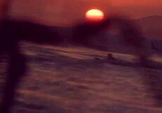 Η Shemale Tori Easton Γλείφει την Charlotte Sins σε Άγρια Τρανς Δράση