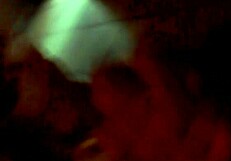 Bisexual video from 2017