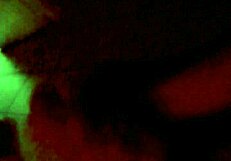 Bisexual video from 2017