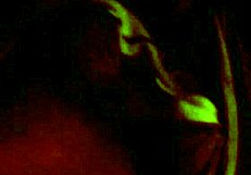 Bisexual video from 2017