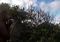 Adam And Eve Blacks In Paradise