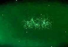 she says, sensual sucking is my specialty