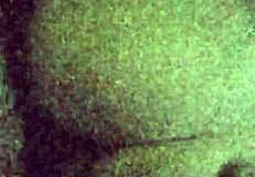 Cumslut bunny loves snow facial intensely