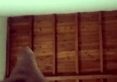 Sabah komşu Latin 18+ genç kızı boynuzlu gittikten sonra sertçe yandan sikiyor