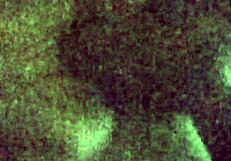 Cumslut bunny loves snow facial intensely