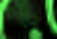 Can Jesse Pony Handle This Intense Anal Breaking With Fisting And Rimjob?