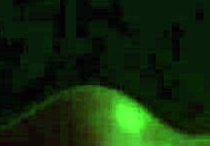 In the airplane scene, she gives a blowjob leading to orgasm