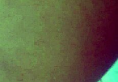 bear says 'fuck that bitch hard in the ass' while watching