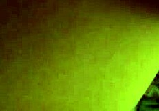 cookie gets a mouthful of something tasty.