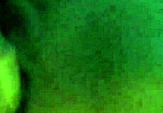 Bbshorty poses at different angle 😊