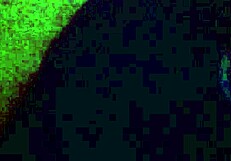 I share a video of a milf giving a blowjob