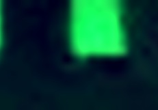 Analtime Xxx - Sexy Veronica Leal & Bestie Get Holes Wrecked