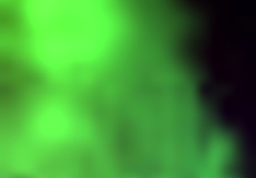 I share a video of a milf giving a blowjob