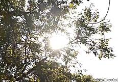 hey man, wanna talk about hot russian gay action tonight?