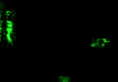 Vintage erotic drawings from retro cartoons