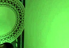 Taiwanese Beauty in Wild Action